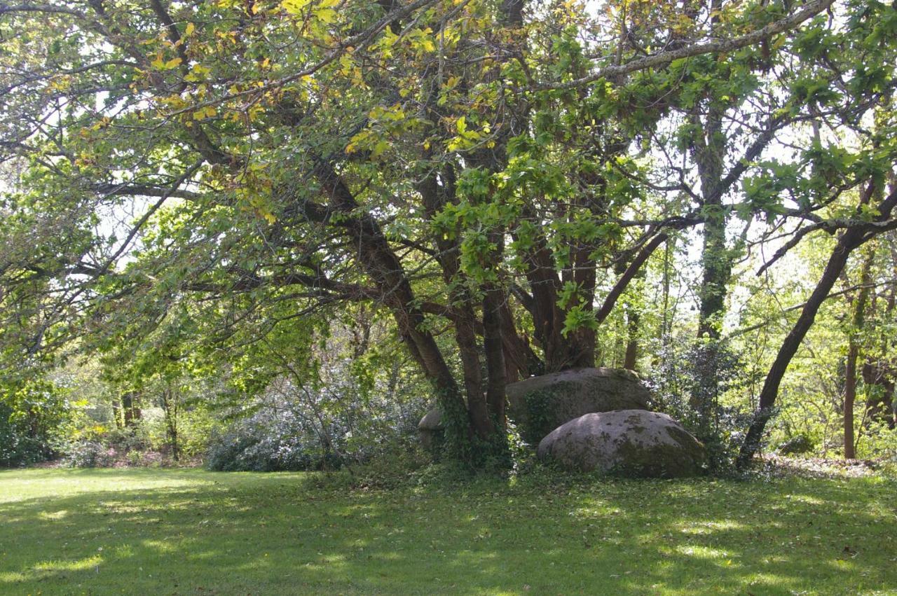 Domaine Les Grandes Roches Bed & Breakfast Trégunc Eksteriør bilde